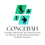 Logo CONACE-MFC (11)